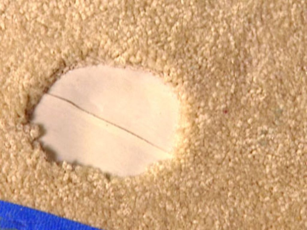 Carpet Hole Repair