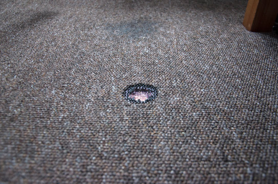 Carpet Hole Repair Sydney